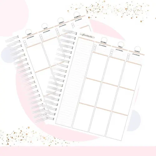 Planner da empreendedora permanente