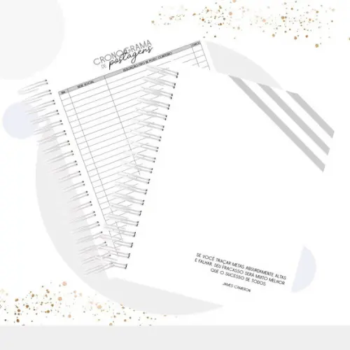Planner do empreendedor permanente