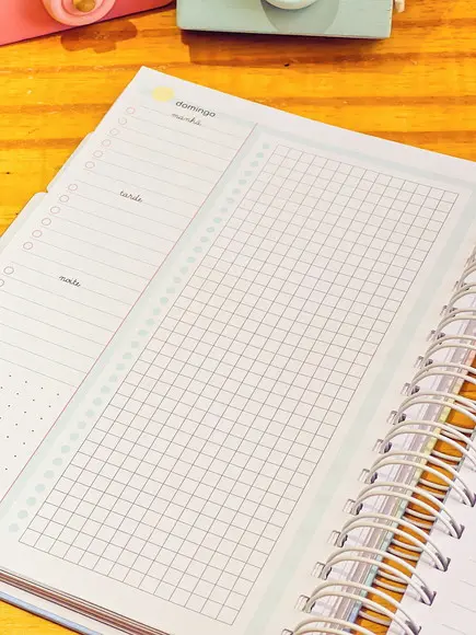 Planner Empreendeda Candy
