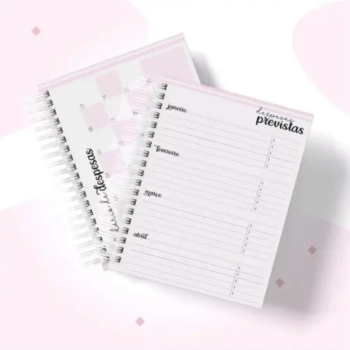 Planner financeiro para empresa Feminino
