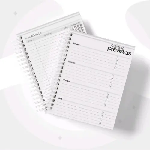 Planner financeiro para empresa Masculino