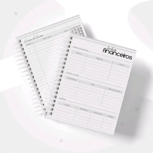 Planner financeiro para empresa Masculino