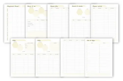 Planner Financeiro Permanente