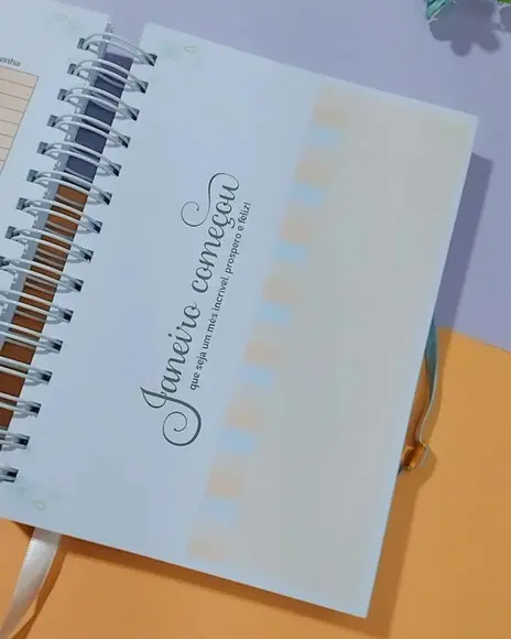 Planner Permanente da Professora