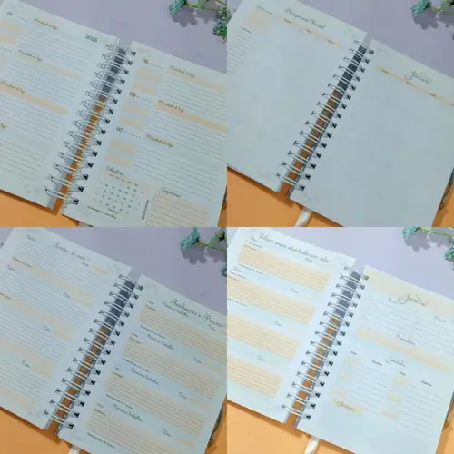 Planner Permanente da Professora