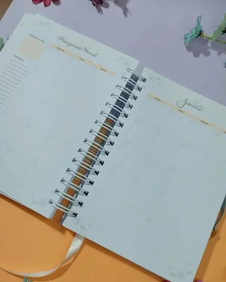 Planner Permanente da Professora