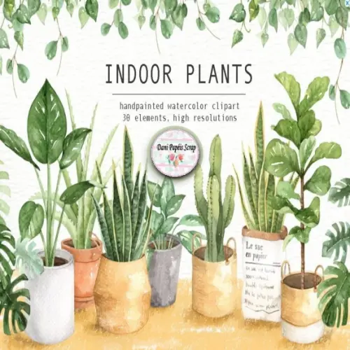 Kit Digital Plantas Aquareladas