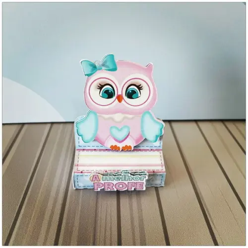 Porta Bis Personalizado Dia dos Professores Corujinha