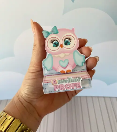 Porta Bis Personalizado Dia dos Professores Corujinha Menino