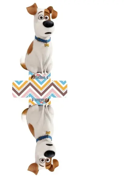 ARQUIVO CAIXA SILHOUETTE PETS LUXO