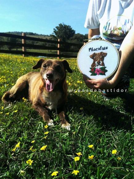 Retrato Pets - Bordado Animais de Estimação 20 cm