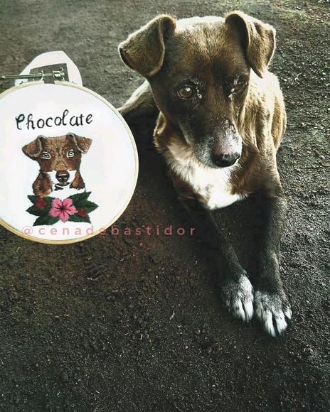 Retrato Pets - Bordado Animais de Estimação 20 cm