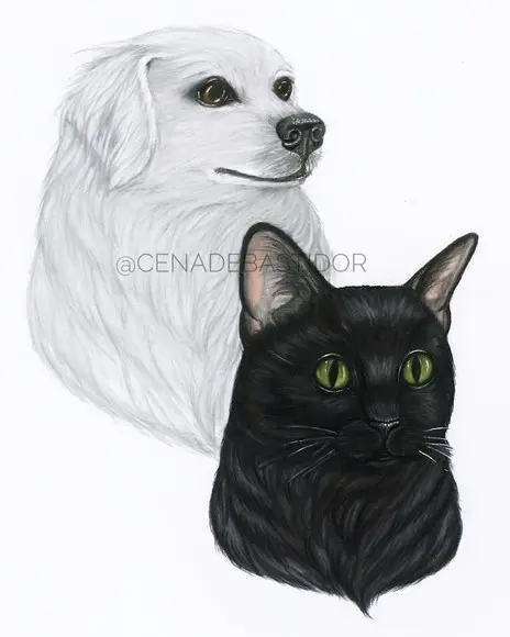 Desenho realista - 2 animais de estimação