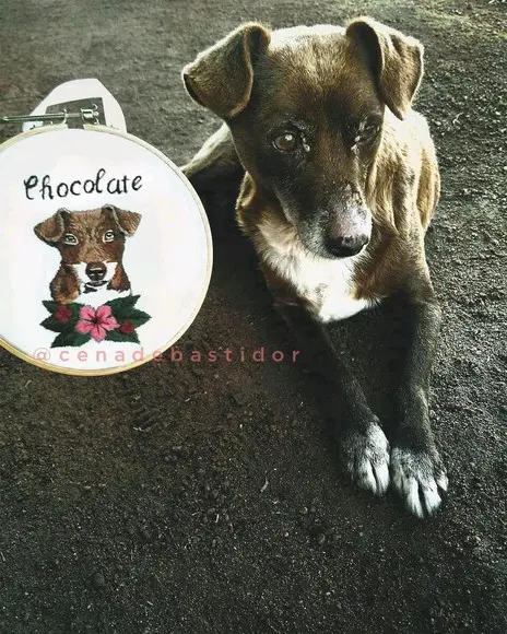 Retrato Pets - Bordado Animais de Estimação 20 cm