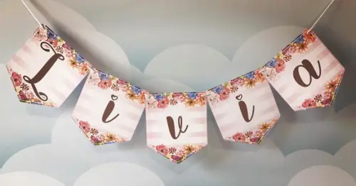 Bandeirola Personalizada frida