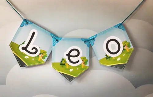 Bandeirola Personalizada Léo Caminhão