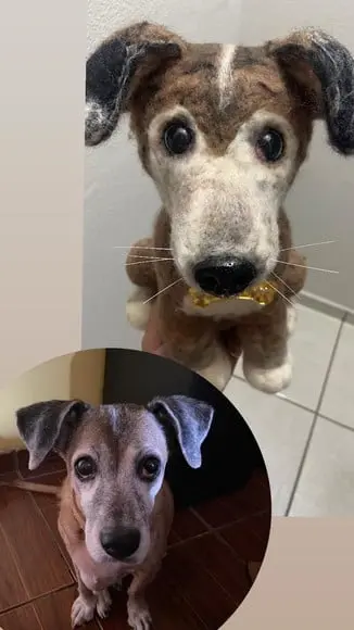 Pet Realista