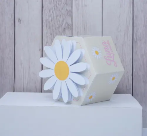 Personalizados Margaridas (15 Peças)