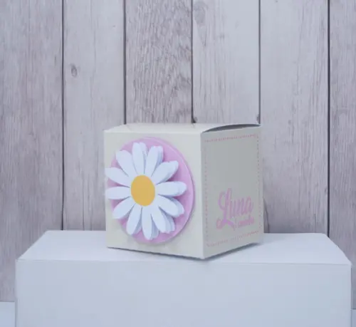 Personalizados Margaridas (15 Peças)