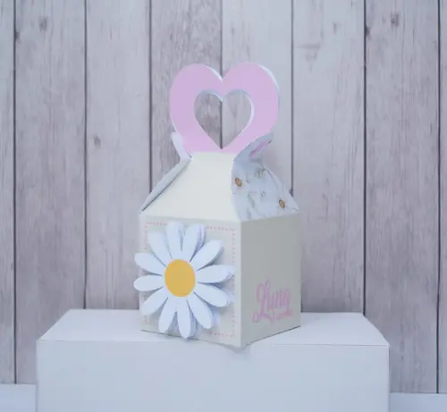 Personalizados Margaridas (20 Peças)