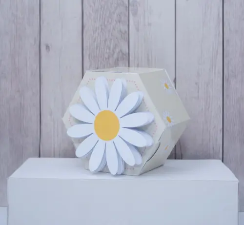 Personalizados Margaridas (30 Peças)