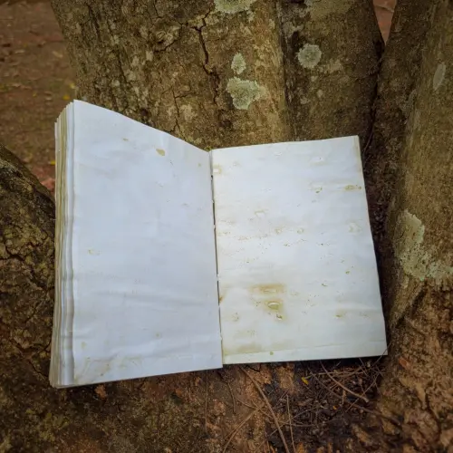 Miolo para Grimorio Folhas Envelhecidas(360 Páginas)