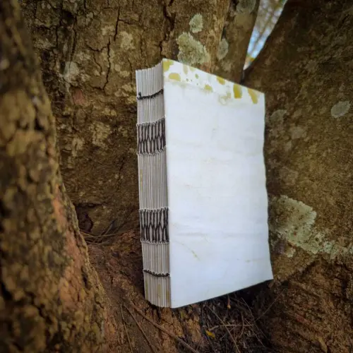 Miolo para Grimorio Folhas Envelhecidas(360 páginas)