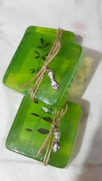 Arruda - 100% Natural 100 Gramas