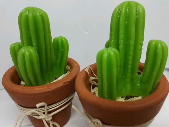 Cactos - Lembrancinha