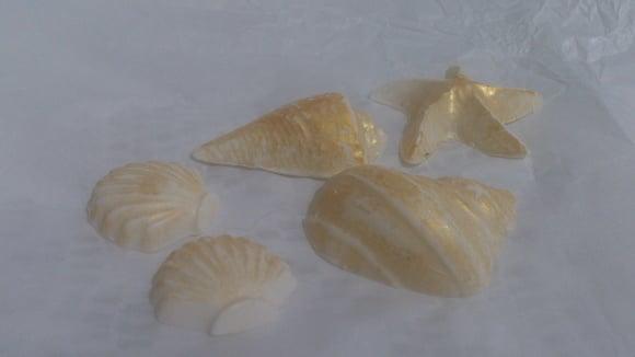 Conchas e Estrelas Douradas (sortidas)