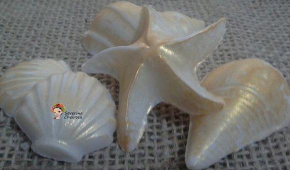 Conchas e Estrelas Douradas (sortidas)