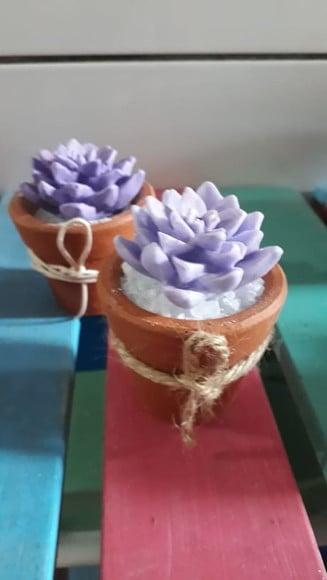 Lembrancinha Suculentas mini