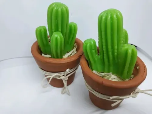 Cactos - Lembrancinha