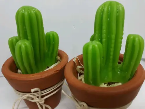 Cactos - Lembrancinha