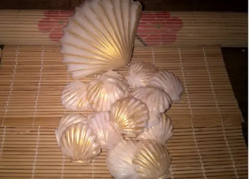 Concha Grande Dourada