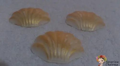 Conchas Estilizadas (médias)
