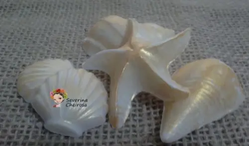 Conchas e Estrelas Douradas (sortidas)