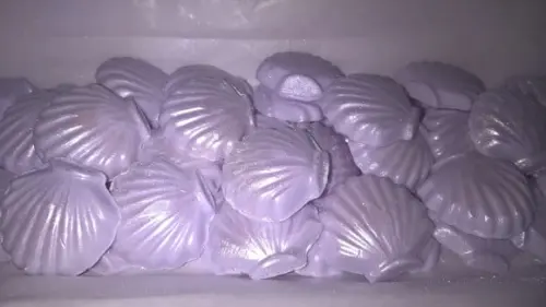 Conchinhas Douradas/peroladas