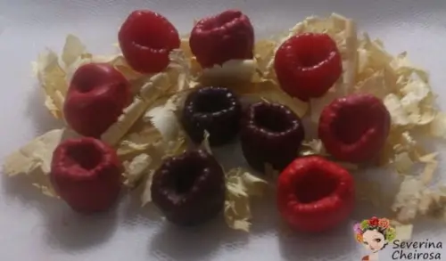 Frutas Vermelhas (Sortidas) - Tamanhos (mini - mèdio)