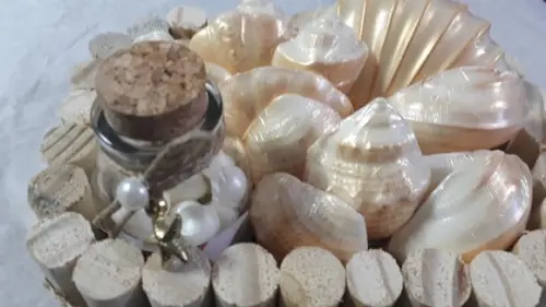 Fundo do Mar Kit para Presente