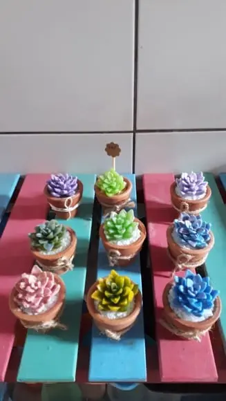 Lembrancinha Suculentas mini
