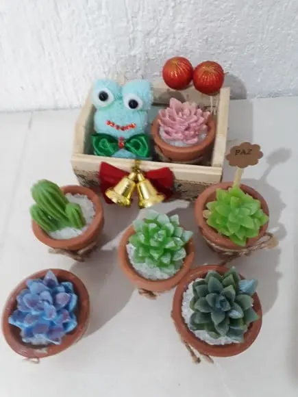 Lembrancinha Suculentas mini