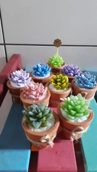 Lembrancinha Suculentas mini