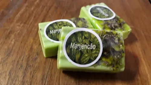 Manjericão - 100% Natural
