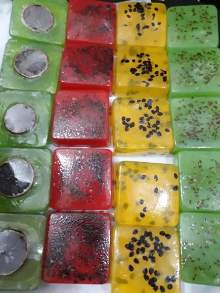 Sabonete Natural de Frutas e Ervas