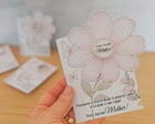 Cartão com Creme Natura - Dia da Mulher