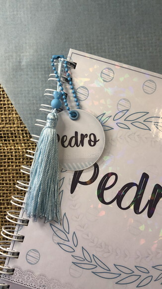 Caderneta de Saúde / Vacinação Personalizada - Clean Azul