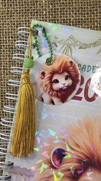 Caderneta de Saúde / Vacinação Personalizada - Leãozinho