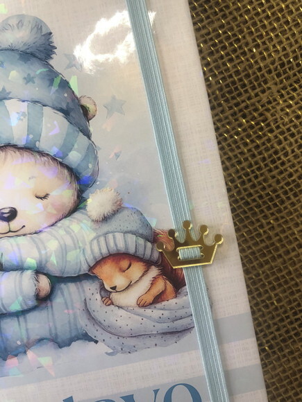 Caderneta de Saúde / Vacinação Personalizada - Ursinho