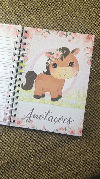 Caderneta de Saúde / Vacinação Personalizada - Cavalinho